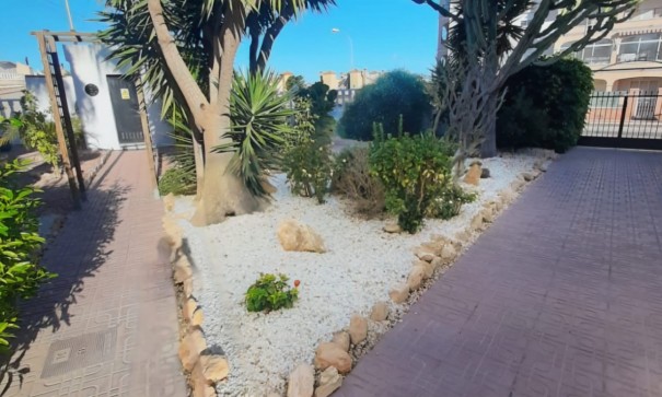 Videresalg - Lejlighed lejlighed -
Playa Flamenca