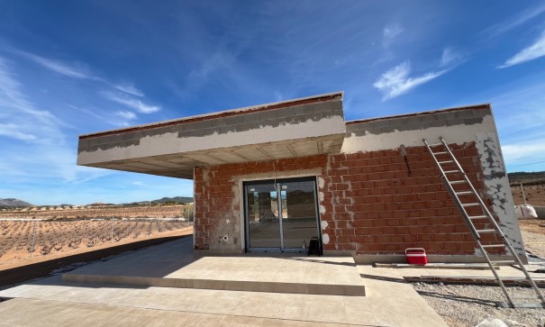 New Build - Freistehende Villa -
Pinoso