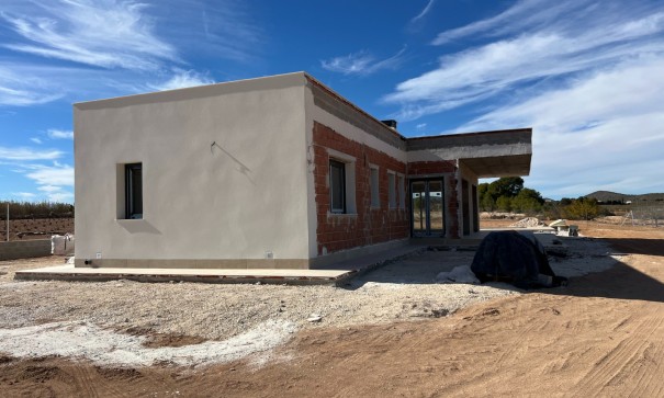 New Build - Freistehende Villa -
Pinoso