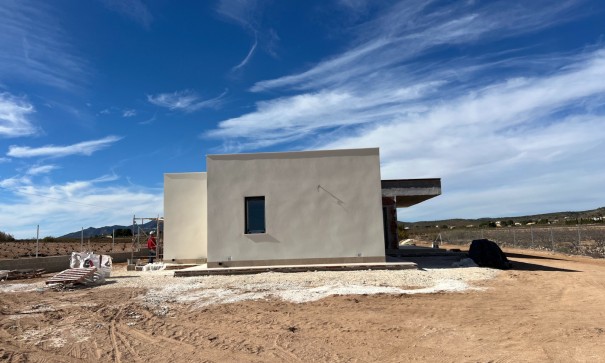 New Build - Freistehende Villa -
Pinoso