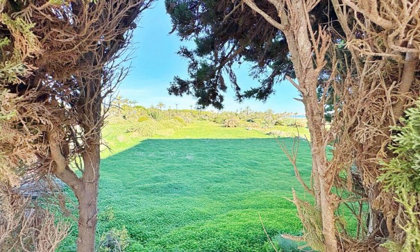 Återförsäljning - Lägenhet lägenhet -
Torrevieja - Rocio del mar