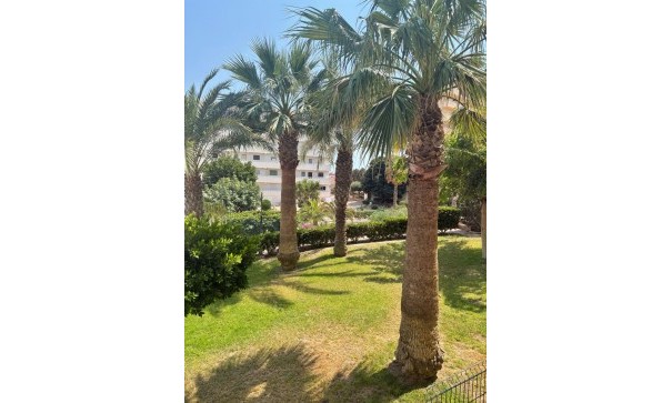 Appartement - Revente - Torrevieja -
                0