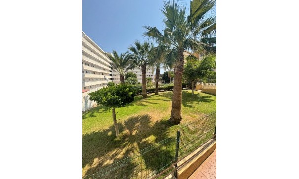 Sprzedaż - Apartament mieszkanie -
Torrevieja - 0