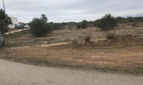 Sprzedaż - Terreno -
Benferri - HUERTA PUEBLO