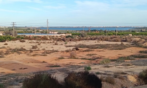 Herverkoop - Huis - Vrijstaande Villa (4) -
Los Montesinos - La herrada