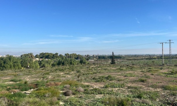 Sprzedaż - Dom miejski -
Algorfa