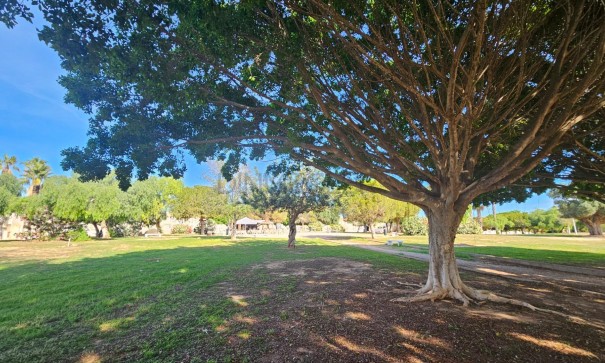 Videresalg - Lejlighed lejlighed -
Torrevieja - Aguas Nuevas