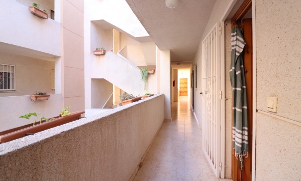 Sprzedaż - Apartament mieszkanie -
Torrevieja - San Luis