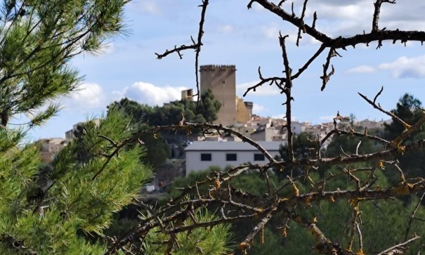 Revente - Parcelle Terrain -
Moratalla