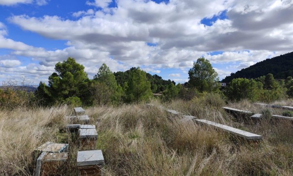 Revente - Parcelle Terrain -
Moratalla