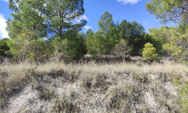 Revente - Parcelle Terrain -
Moratalla