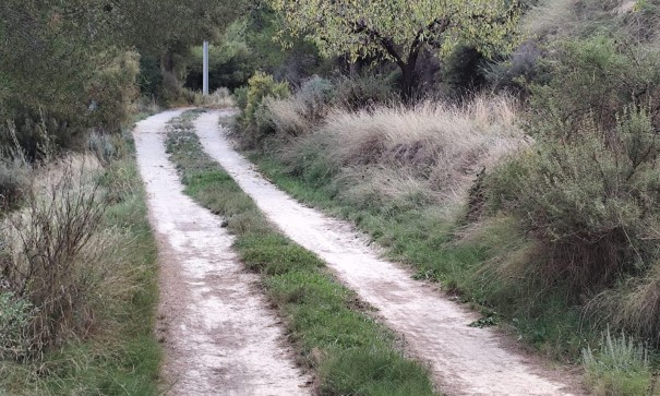 Revente - Parcelle Terrain -
Moratalla