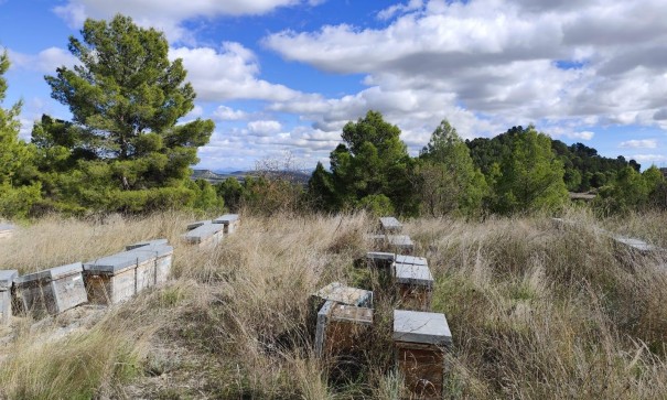 Revente - Parcelle Terrain -
Moratalla