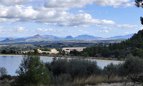 Revente - Parcelle Terrain -
Moratalla