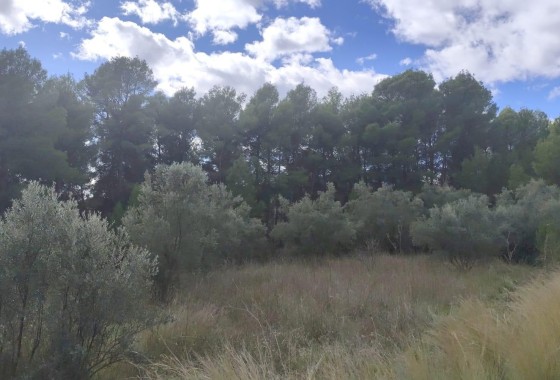 Herverkoop - Perceel Grond -
Moratalla