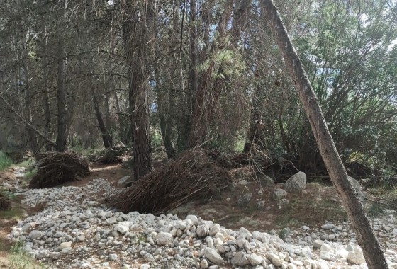 Herverkoop - Perceel Grond -
Moratalla