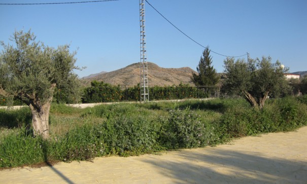 Återförsäljning - Fristående villa -
Benferri