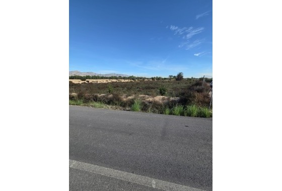 Revente - Finca Propriété rurale -
Albatera