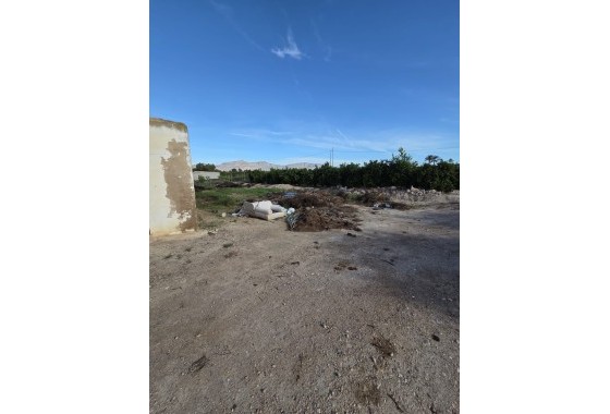 Revente - Finca Propriété rurale -
Albatera