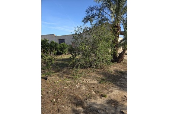 Revente - Finca Propriété rurale -
Albatera