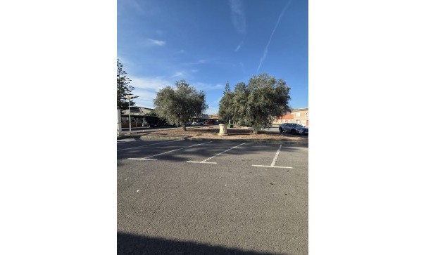 Sale - Commercial -
Callosa de Segura