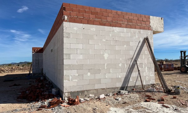 New Build - Freistehende Villa -
Pinoso