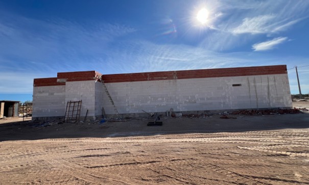 New Build - Freistehende Villa -
Pinoso