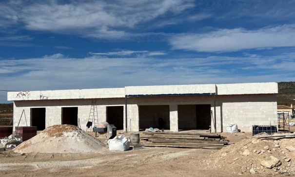 New Build - Freistehende Villa -
Pinoso