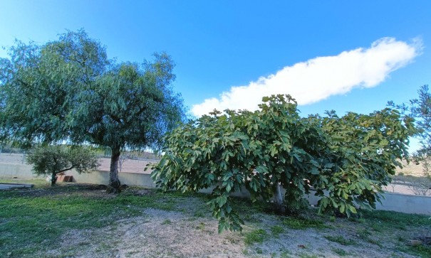 Sprzedaż - Willa wolnostojąca -
Hondón de los Fráiles