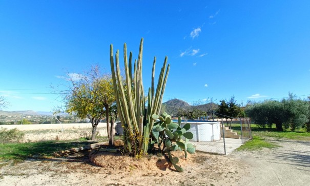 Sprzedaż - Willa wolnostojąca -
Hondón de los Fráiles