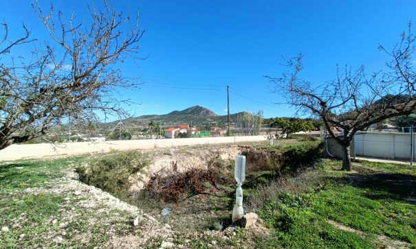 Sprzedaż - Willa wolnostojąca -
Hondón de los Fráiles