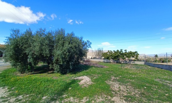 Sprzedaż - Willa wolnostojąca -
Hondón de los Fráiles