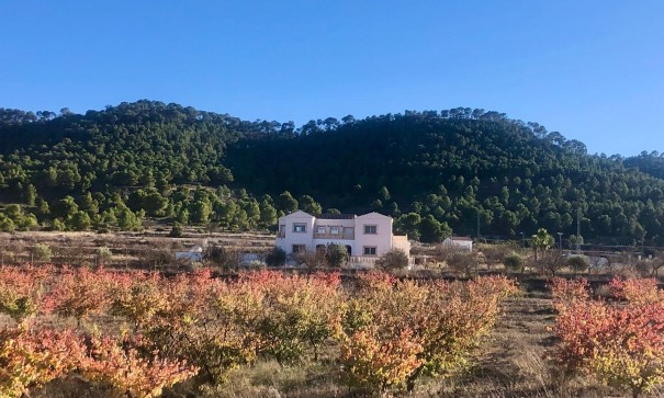 Videresalg - Fritliggende villa -
Pinoso - Pinoso Alicante