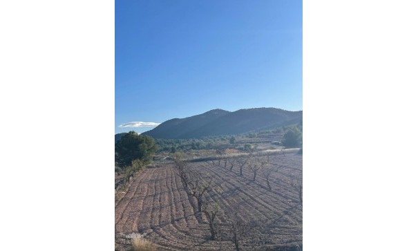 Videresalg - Fritliggende villa -
Pinoso - Pinoso Alicante