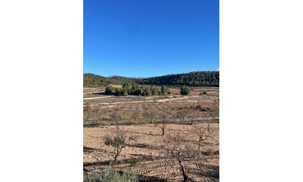 Videresalg - Fritliggende villa -
Pinoso - Pinoso Alicante