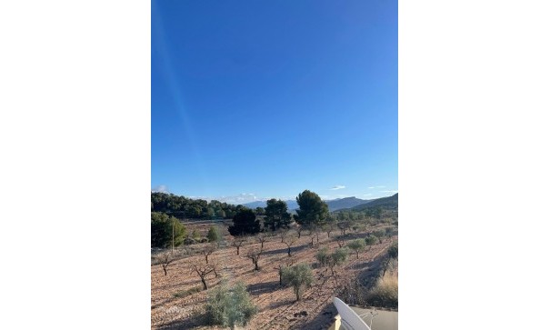 Videresalg - Fritliggende villa -
Pinoso - Pinoso Alicante