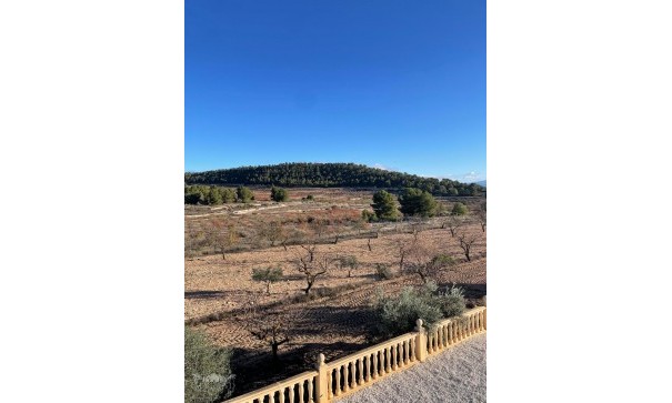 Videresalg - Fritliggende villa -
Pinoso - Pinoso Alicante