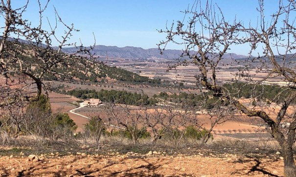Videresalg - Fritliggende villa -
Pinoso - Pinoso Alicante