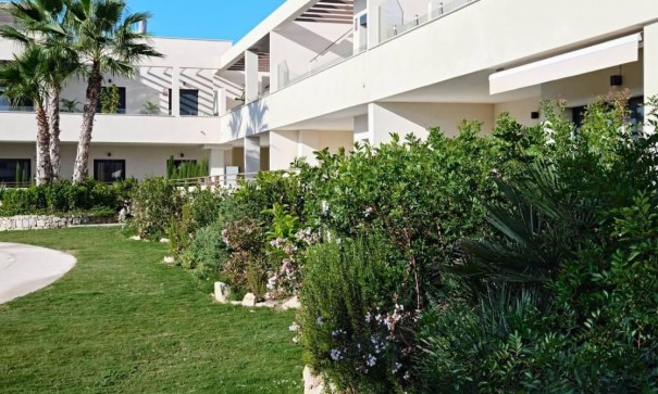 Sprzedaż - Apartament mieszkanie -
Torrevieja - La veleta