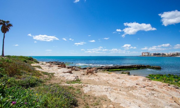 Återförsäljning - Lägenhet lägenhet -
Torrevieja - Centro - Muelle Pesquero