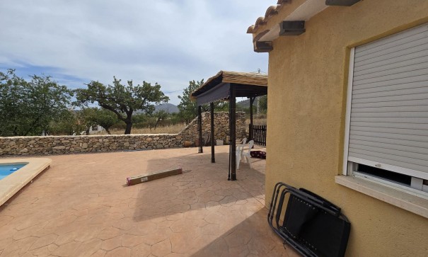 Resale - Freistehende Villa -
Salinas