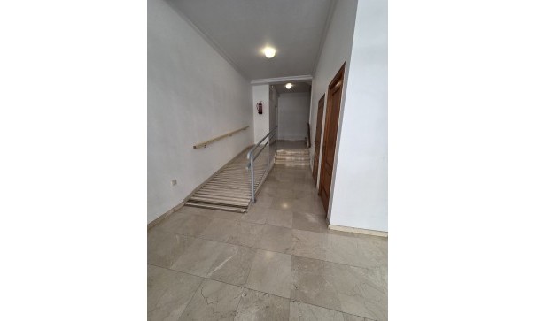 Återförsäljning - Lägenhet lägenhet -
Torrevieja