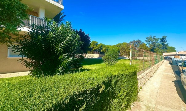 Återförsäljning - Lägenhet lägenhet -
Orihuela Costa - Altos de Campoamor