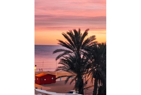 Herverkoop - Appartement / Flat -
Torrevieja