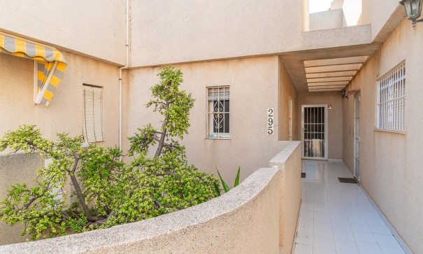 Herverkoop - Apartement Flat -
Torrevieja - Los Frutales