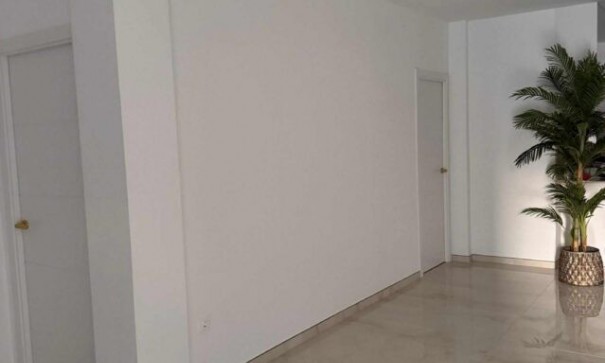 Obra Nueva - Villa adosada -
La Romana