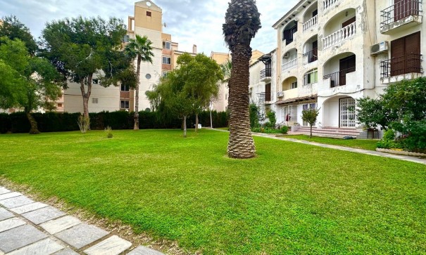 Herverkoop - Apartement Flat -
Torrevieja - Estacion de autobuses