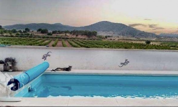 Venta - Villa -
Yecla - Yecla Murcia