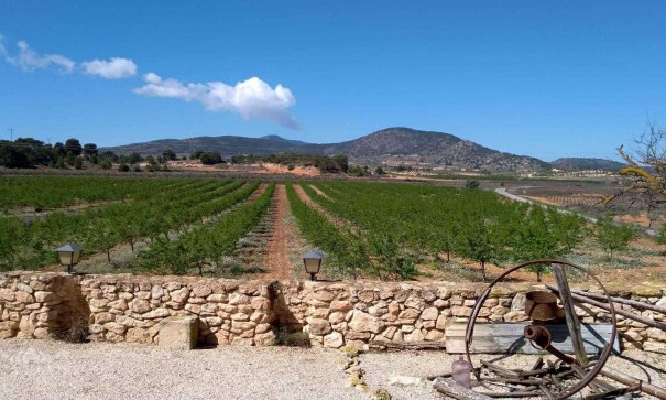 Venta - Villa -
Yecla - Yecla Murcia