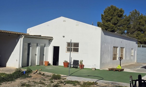 Sale - Commercial -
SAX